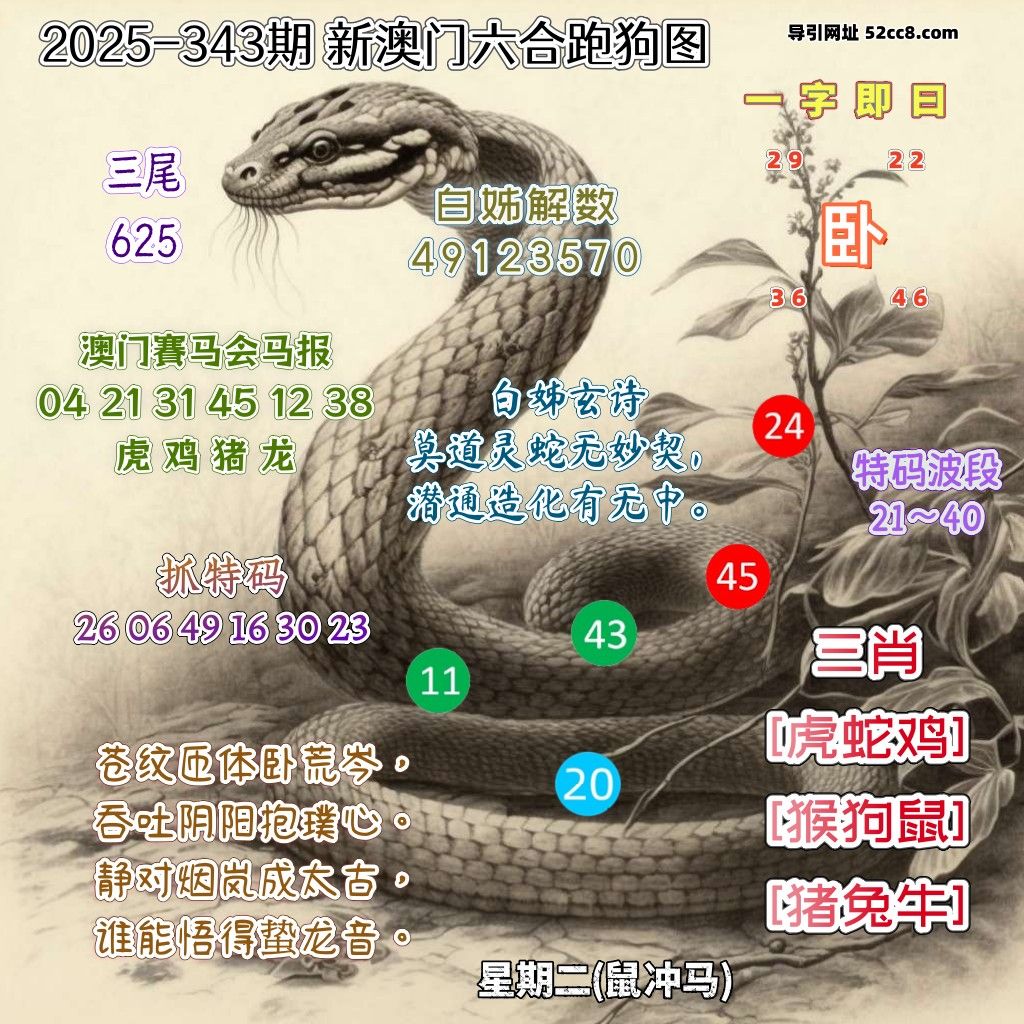 新澳门六合跑马图343期