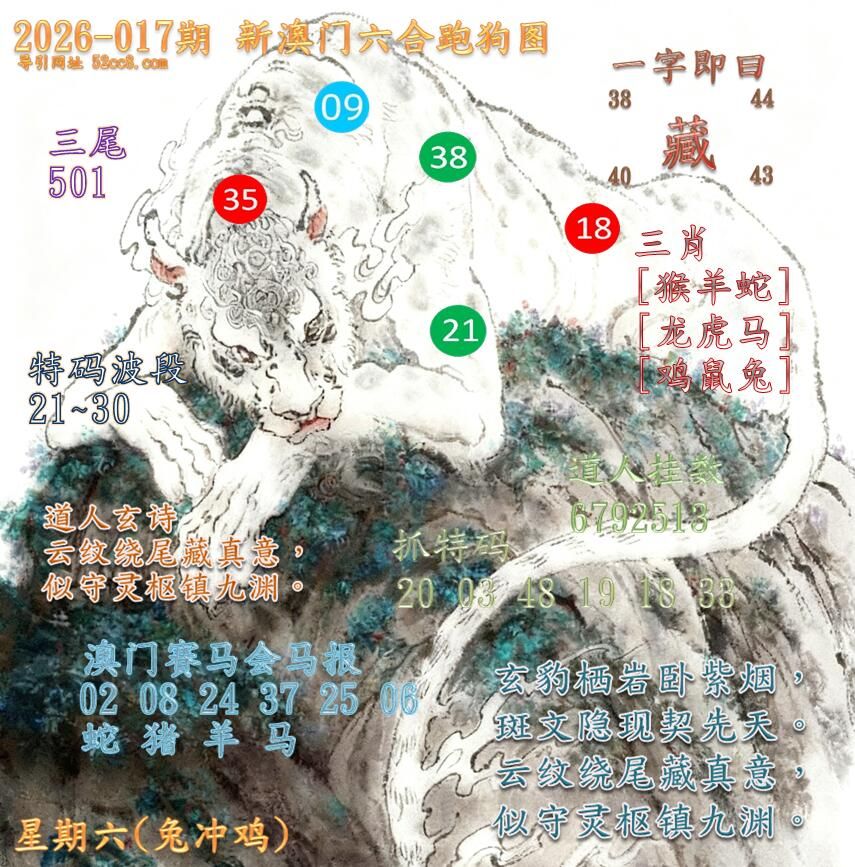 新澳门六合跑马图017期