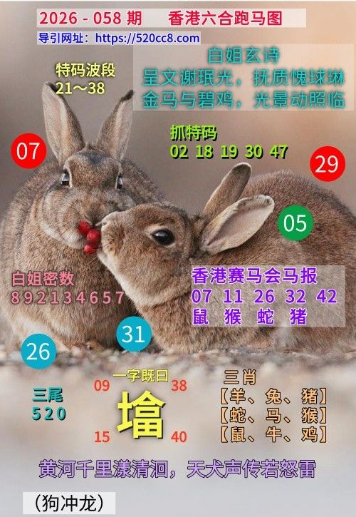 香港六合058期