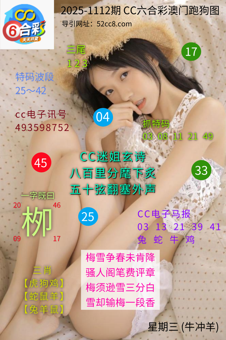 CC六合澳门跑马图