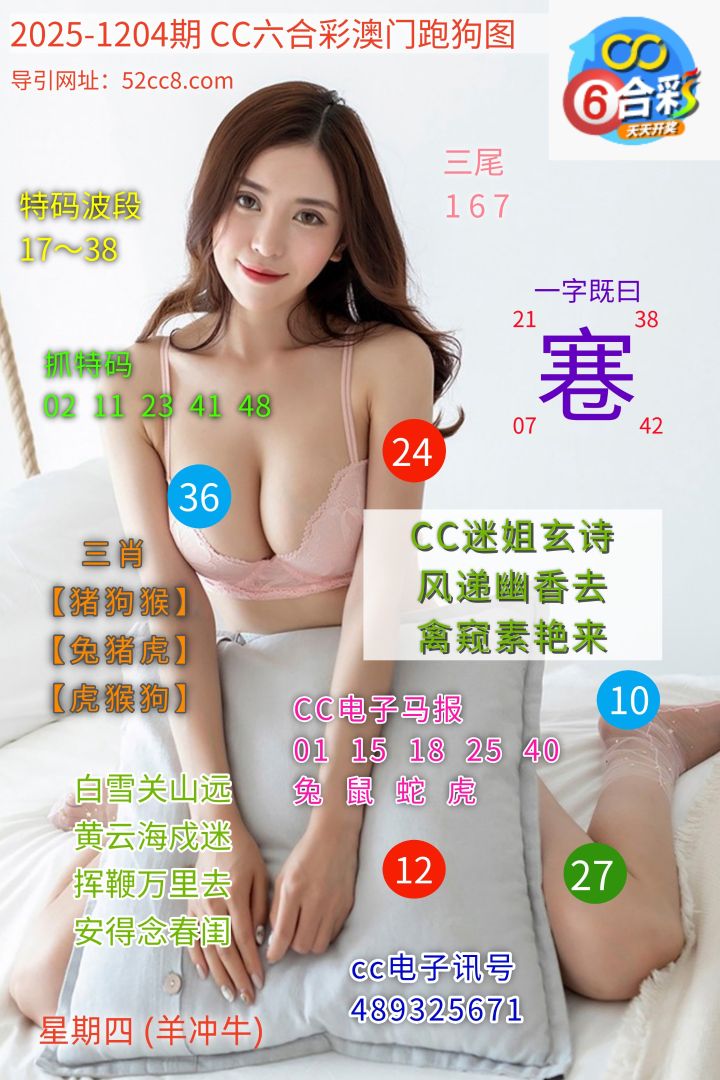 CC六合澳门跑马图1204期