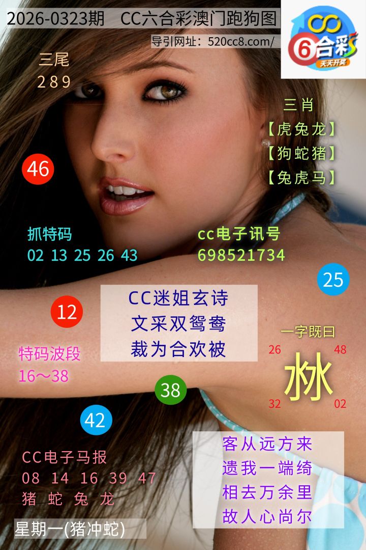 CC六合澳门跑马图0323期