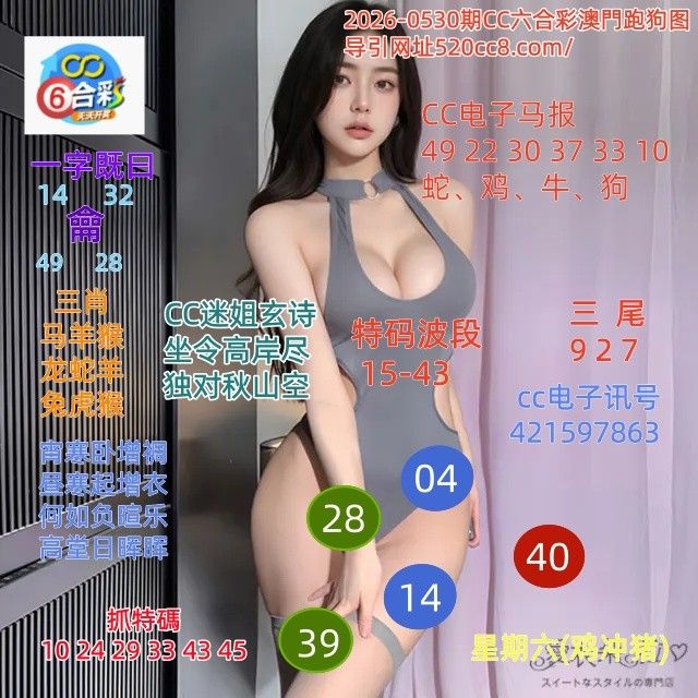 CC六合澳门跑马图0530期